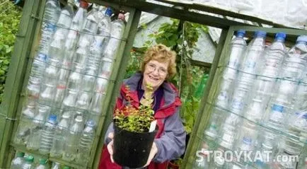 Hogyan építsünk egy üvegház műanyag palackok kezük alapon, udvar, kert, hétvégi ház