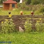 Как да си направим ограда с ръцете си от лози и върбови клонки