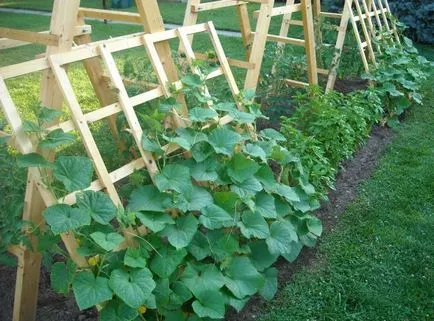 Hogyan készítsünk egy rácsos uborkára saját kezűleg