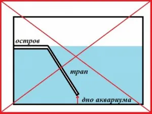 Как да си направим един остров или плаж за водни костенурки