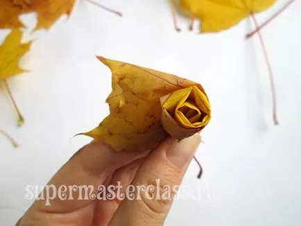 Как да си направим рози от кленов листа с техните ръце стъпка по стъпка съветника класа, майсторски класове
