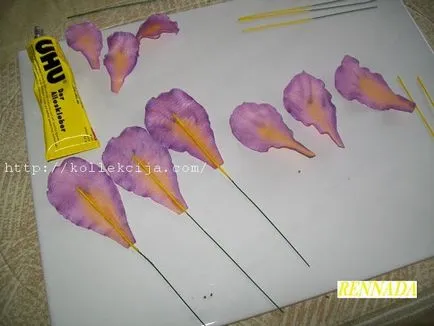 Как да направим цвете ирис плата с ръцете си