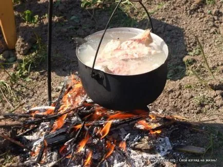 Hogyan kell főzni egy igazi fül