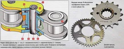 Cum de a alege, schimbe și să mențină lanțul de biciclete