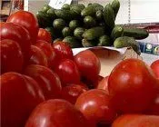 Как да съхранявате домати и краставици в апартамента - популярна здраве