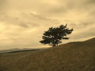 Hogyan lehet túlélni a közepén a pusztai egy napon meg fog történni