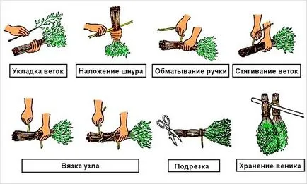 Ca mături de recoltare pentru o baie - cum să se pregătească