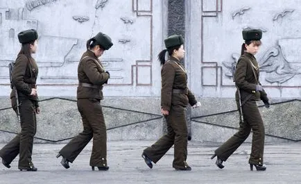 Hogyan élnek a gazdag Észak-Korea
