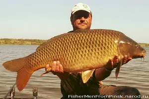 Carp Fishing (karpfishing, karpfishing) - hogyan ponty