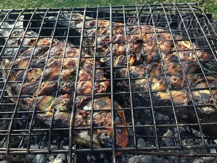 Carp grill tűz, hozoboz - ismerjük mind az étel