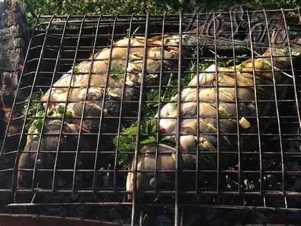 Carp grill tűz, hozoboz - ismerjük mind az étel