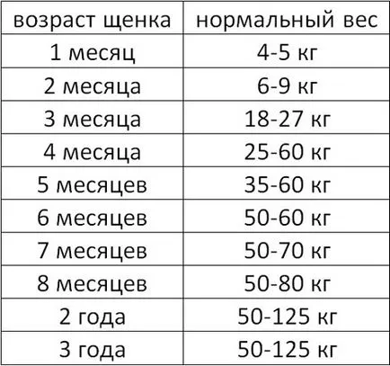 Кавказки Шепърд тегло, порода стандарт, а колко години живеете
