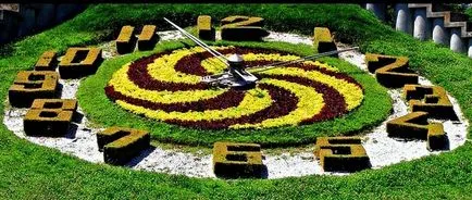 Virágágyásba óra készült virágok ötleteket és tanácsokat szervezet