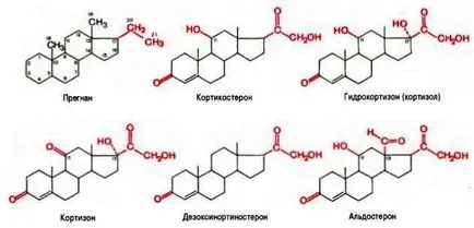 Класификация Z след синтез