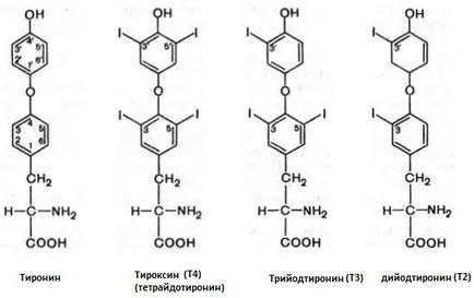 Класификация Z след синтез