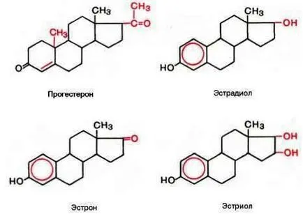 Класификация Z след синтез