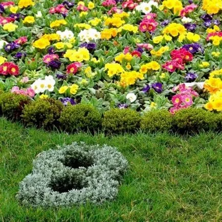 Virágágyásba óra készült virágok ötleteket és tanácsokat szervezet