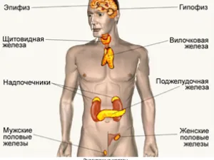 consultări endocrinolog la Moscova - o clinica de psihiatrie Minutko