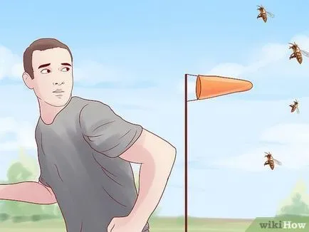 Cum de a scăpa de albine ucigașe