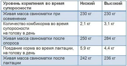 Хранене на бременни свине след опрасването, кърмещи