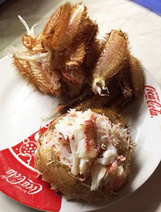 Crab păr-o