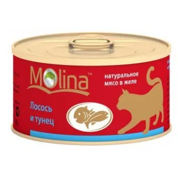 Купете лакомства и консерви Молина (Molina) на едро за кучета и котки, по-ниска цена в Москва -