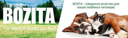 Vásárolja Bozita konzerv kutya 🐕 olcsó online áruház, Bozita szállítás Moscow