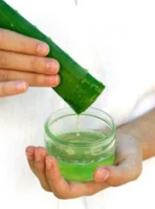 Tratamentul Aloe in oncologie