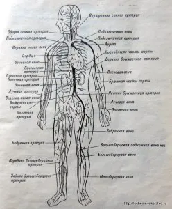 Лечение на ушна кал, лечение без лекарства