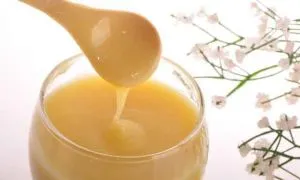 Köhögés cukorkák kezébe a gyömbér és a méz recept
