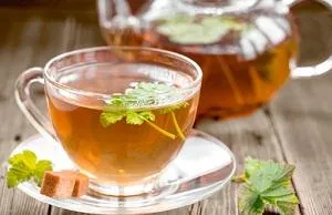 Currant листа чай, когато да се събират, как да изсъхне, рецепти - моят живот