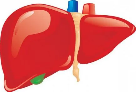 Lipotropic tényezők készítmény, jelzések, a használati utasítást, a valós