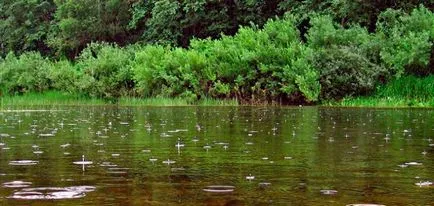 Улавянето хлебарка на плувка прът, оборудване и оборудване за риболов