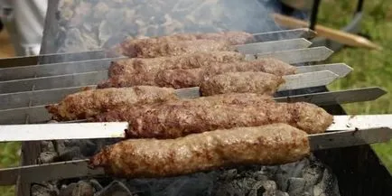 Kebab pe grătar (pui, carne de vită) rețete cu fotografii