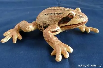 Frog глина майсторски клас - над 25 на най-добрите идеи на тема 