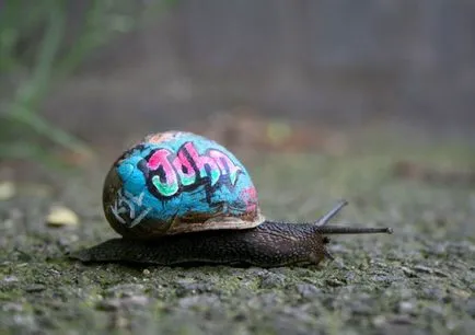 Az emberek festeni a héját csigák, hogy nem támadták