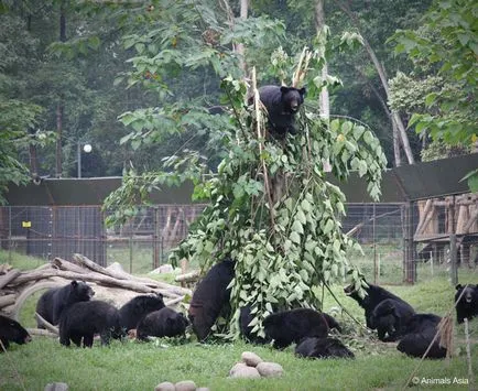 Cele mai bune rezervații naturale și adăposturi de animale