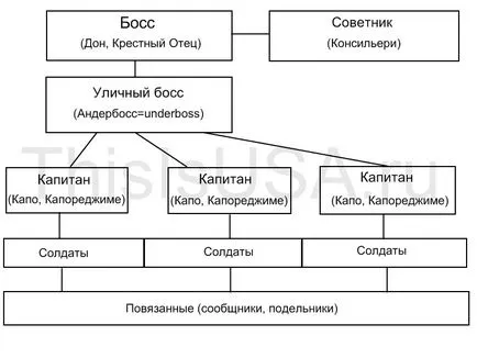 Mafia în Statele Unite, mafia americană, istoria și șederea mafiei Underworld, acest lucru este Statele Unite ale Americii