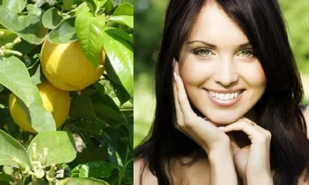 Bergamot olaj az arc - egy illatos csokor megoldani bőrproblémák