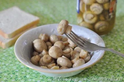 A pácolt gomba recept fotókkal, hogyan kell főzni marinált gombák