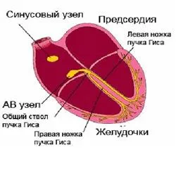 Първа степен AV блок