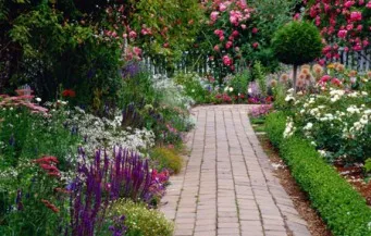 A tudásbázis, óvodai szakemberek Rose Valley