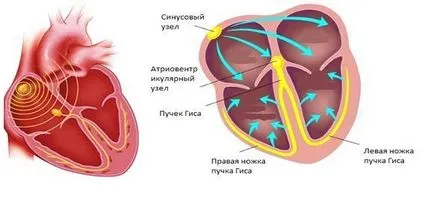 Първа степен AV блок