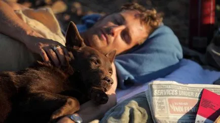Австралийско келпи Австралийско келпи снимка, порода куче със снимки и описание