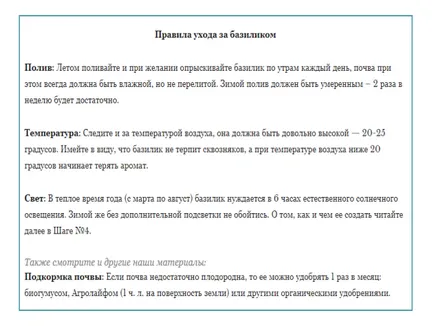 Basil az ablakpárkányon - növekvő magról a folyamatot lépésről lépésre