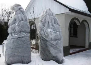 Hogyan lehet elrejteni arborvitae a telet a külvárosokban és a középső sávban felülvizsgálat videó