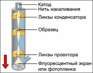 методи цитология