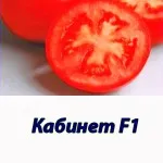 Минаре F1 хибрид домати Syngenta