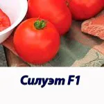 Минаре F1 хибрид домати Syngenta