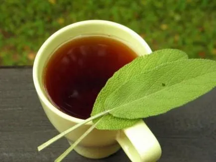 Мога ли да се пие като чай градински чай, supertravnik